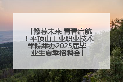 豫荐未来 青春启航！平顶山工业职业技术学院举办2025届毕业生夏季招聘会